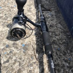 サバサバサバサバサバサバ…