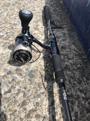 サバサバサバサバサバサバ…