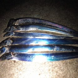 いつもの場所にタッチー