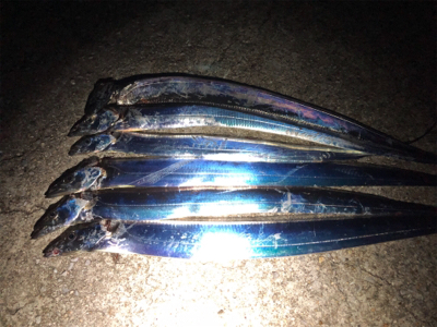 いつもの場所にタッチー