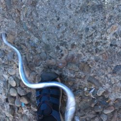 型は良くなってきたけど、あたりが渋いな〜