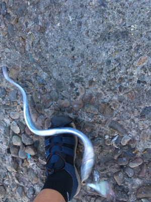 型は良くなってきたけど、あたりが渋いな〜