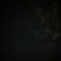 イカも人も少ない