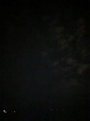 イカも人も少ない