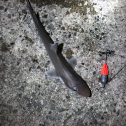 台風前の神戸遠征