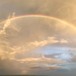 まだまだ、小さい！