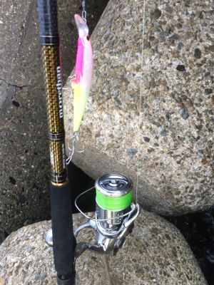 タチサゴパターン、ラストが…