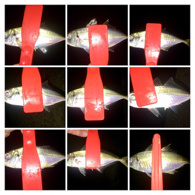 アジンガー1832〜2025