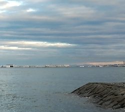 早朝ショアジギ