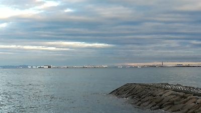 早朝ショアジギ