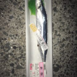 やっぱり餌が釣れる!