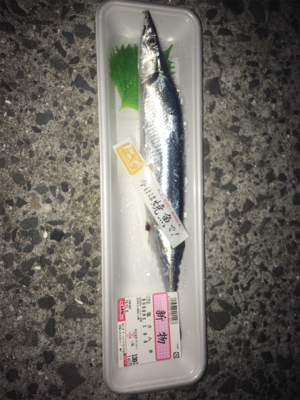 やっぱり餌が釣れる!