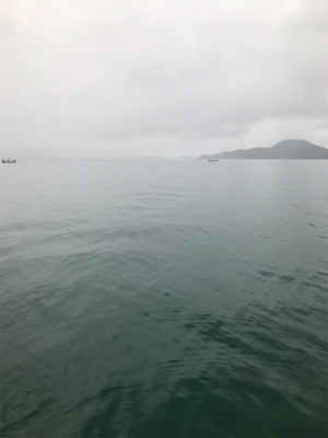 長門周辺 アオリイカ釣果