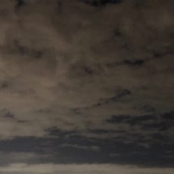 まずめのタッチーワインド(o^^o)