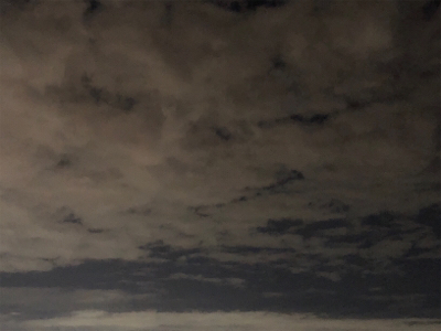 まずめのタッチーワインド(o^^o)