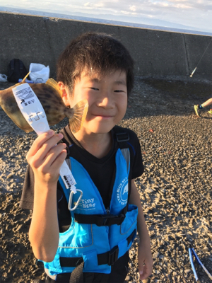 ベストシーズン