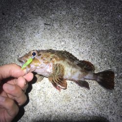 爆風フロートアジングとスローワインド