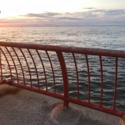 朝一から行って来ました…平磯へ