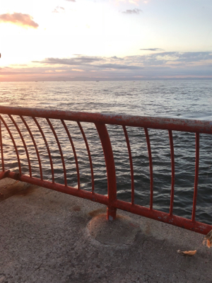 朝一から行って来ました…平磯へ