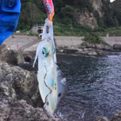 台風一過の連休最終日