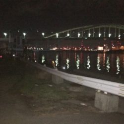 タチウオゲット