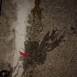 久しぶりの和歌山遠征