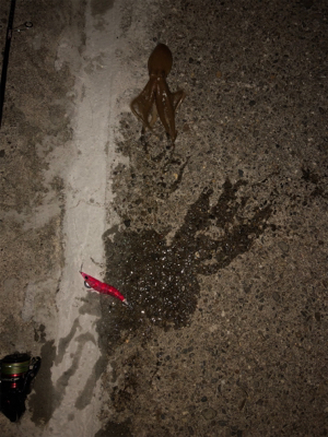 久しぶりの和歌山遠征