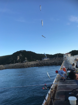 会社の後輩と遊魚センターで