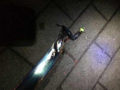 爆発力なし、サイズは小型化