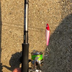 メジロキャッチ！