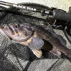 短時間ナイトロ