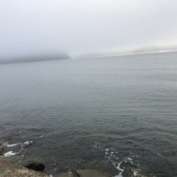 アオリイカを求めて④