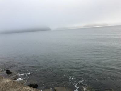 アオリイカを求めて④