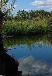 連休最後はのんびりと