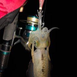 風の合間を縫って‼︎