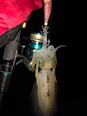 風の合間を縫って‼︎