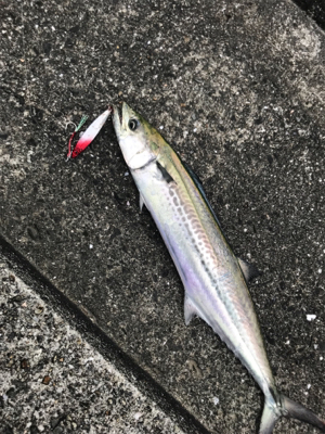 のませのはずが、、、、