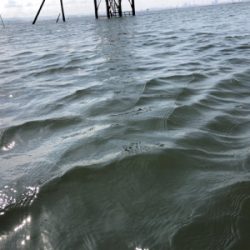 ナイトゲーム&デイウェーディング