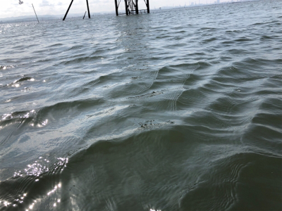 ナイトゲーム&デイウェーディング