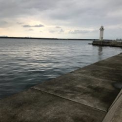 目指せサイズアップ！