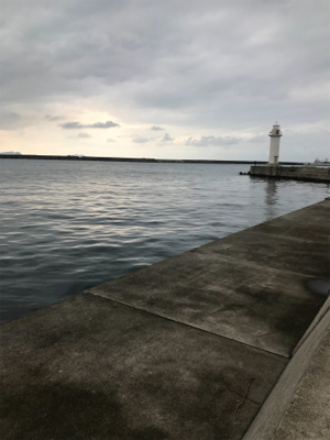 目指せサイズアップ！