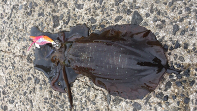 スクイットパーティー