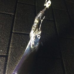 自作アシストVSトレーラーフック