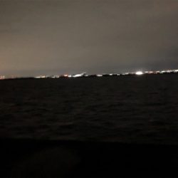 釣果も気温も寒かったです。