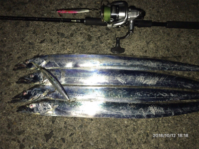 タチウオ釣行