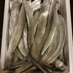 久々武庫川一文字