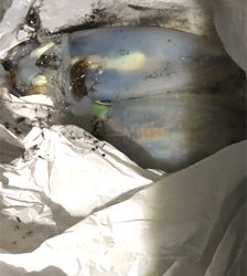 寒すぎ！釣果も寒い