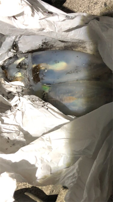 寒すぎ！釣果も寒い