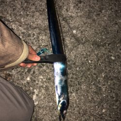 ワインド後はライトショアジギングで