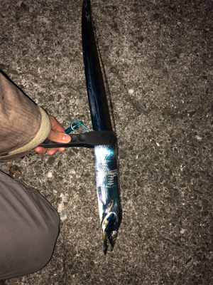 ワインド後はライトショアジギングで